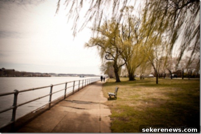featured 272