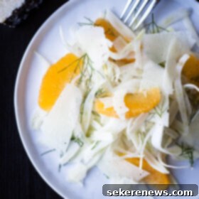 Bright Citrus Fennel Salad with Pecorino 7 Shaved Fennel Orange and Pecorino Salad