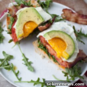 Connor's Legendary BLT 6 Ultimate BLT Sandwich with Egg and Avocado