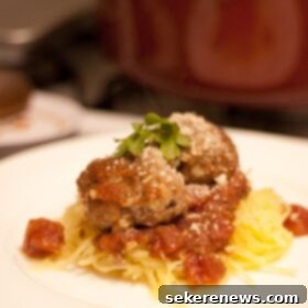 Savory Meatballs with Spaghetti Squash and Fresh Tomato Sauce 7 Spaghetti Squash with Homemade Tomato Sauce and Meatballs