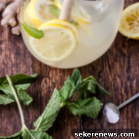Invigorating Mint Ginger Lemonade 6 Fresh Mint Ginger Lemonade