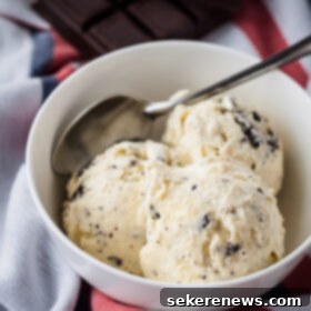 Zesty Ginger Chocolate Chip Delight 6 Ginger Ice Cream with Chocolate Bits