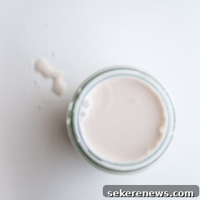 Fresh Homemade Hazelnut Milk 7 Homemade Hazelnut Milk