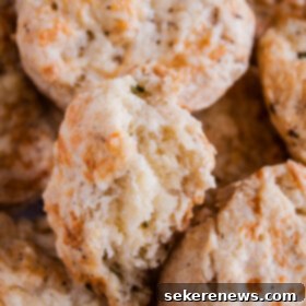 Savory Black Pepper Cheddar Scones 5 Black Pepper Cheddar Scones - A beautifully presented scone, highlighting its texture.