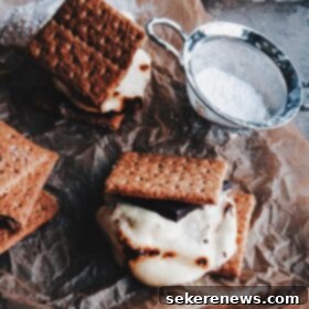 Dark Chocolate Passion Fruit S'mores 7 Dark Chocolate Passion Fruit S'mores