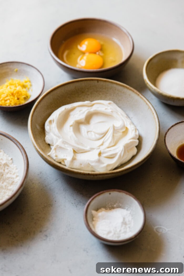 Pillowy Ricotta Doughnuts with Citrus Cardamom Sugar 6 Ricotta Donut Ingredients