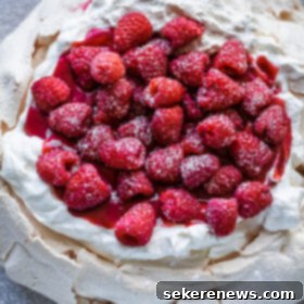 Raspberry Cloud of Vanilla Bliss 8 Raspberry Pavlova with Vanilla Whipped Cream