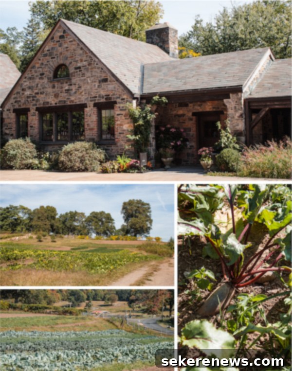 Inside the Stone Barns gift shop