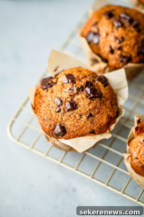 Spiced Pumpkin Chocolate Chip Muffins with Coffee Glaze 2 Pumpkin Chocolate Chip Muffins