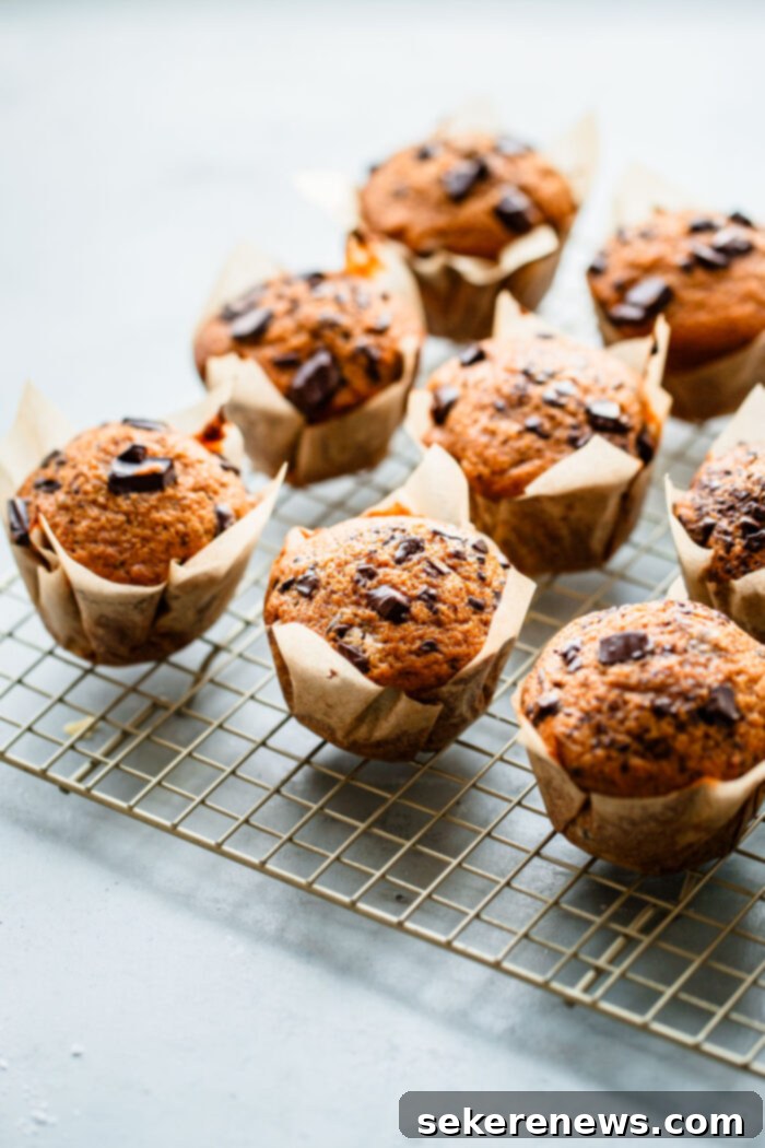 These AMAZING Pumpkin Chocolate Chip Muffins with Coffee Glaze are loved by all! This easy pumpkin muffin recipe is filled with dark chocolate and topped with an easy coffee glaze. #abeautifulplate #pumpkin #muffin #recipe #dessert Pumpkin Chocolate Chip Muffins