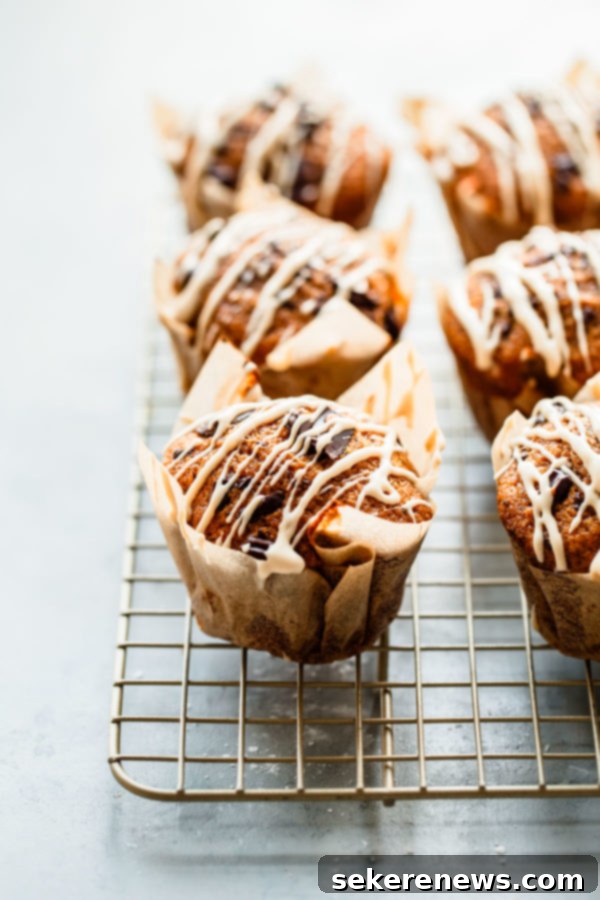These AMAZING Pumpkin Chocolate Chip Muffins with Coffee Glaze are loved by all! This easy pumpkin muffin recipe is filled with dark chocolate and topped with an easy coffee glaze. #abeautifulplate #pumpkin #muffin #recipe #dessert Pumpkin Chocolate Chip Muffins with Coffee Glaze
