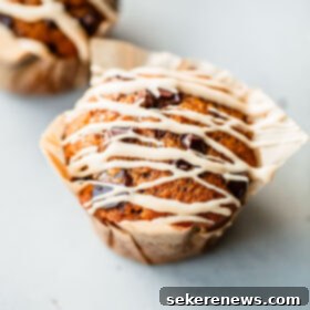 Spiced Pumpkin Chocolate Chip Muffins with Coffee Glaze 6 Pumpkin Chocolate Chip Muffins with Coffee Glaze Drizzle