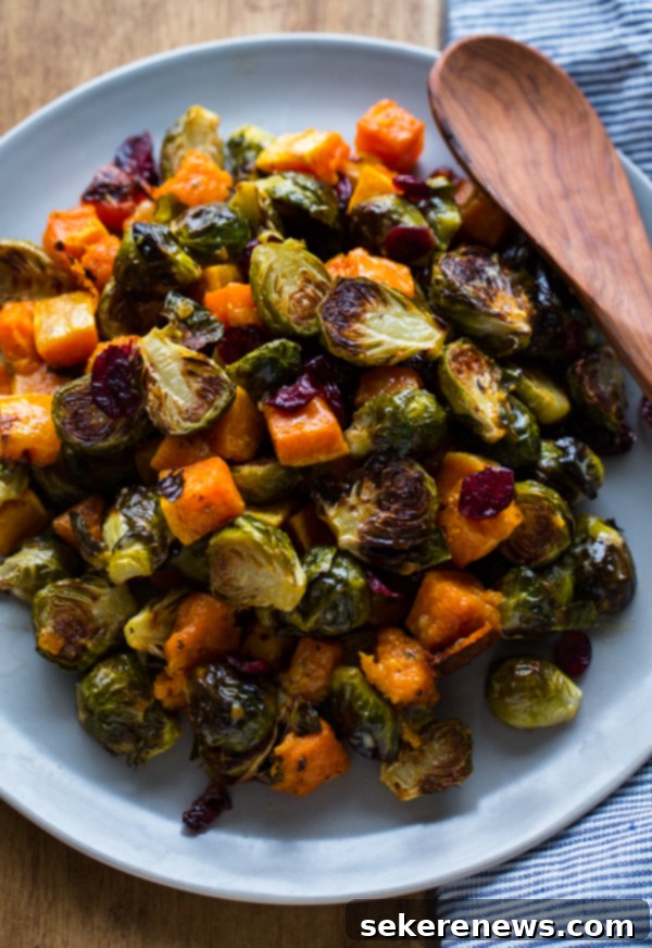 Roasted Brussels Sprouts and Squash with Dried Cranberries and Dijon Vinaigrette. This colorful Thanksgiving side dish recipe is easy and loved by all! #thanksgiving #vegetarian #sidedish #fall #holiday #recipe #abeautifulplate #squash #brusselssprouts Roasted Brussels Sprouts and Squash with Dried Cranberries and Dijon Vinaigrette