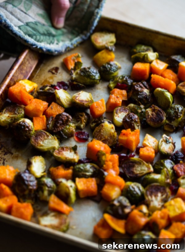 Roasted Brussels Sprouts and Squash with Dried Cranberries and Dijon Vinaigrette. This colorful Thanksgiving side dish recipe is easy and loved by all! #thanksgiving #vegetarian #sidedish #fall #holiday #recipe #abeautifulplate #squash #brusselssprouts Roasted Brussels Sprouts and Squash with Dried Cranberries, fresh from the oven