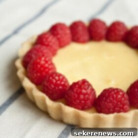 Zesty Meyer Lemon Tarts 7 Mini Meyer Lemon Tart with Fresh Raspberries