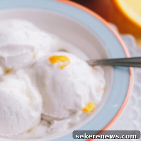 Zesty Orange Swirl Coconut Sorbet 6 Coconut Sorbet with Orange Marmalade Swirl