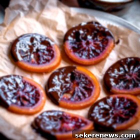 Dark Chocolate Embraced Blood Orange Medallions 8 Homemade Candied Blood Orange Slices with Dark Chocolate