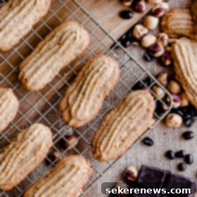 Decadent Espresso Hazelnut Cookies with Dark Chocolate Drizzle 8 Espresso Hazelnut Cookies with Dark Chocolate Drizzle