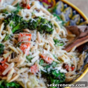 Vibrant Roasted Vegetable Orzo Salad 2 Roasted Vegetable Orzo Salad