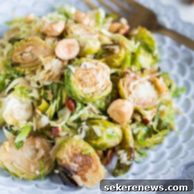 Pomegranate Molasses Brussels Sprouts Salad with Toasted Hazelnuts & Parmesan 7 Brussels Sprouts Salad with Hazelnuts Parmesan and Pomegranate Molasses Vinaigrette