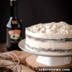 Decadent Guinness Stout Cake with Bailey's Irish Cream Cheese Frosting 3 Guinness Stout Cake with Bailey's Cream Cheese Frosting. The ultimate St.Patrick's Day dessert!