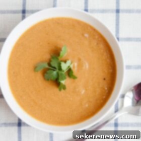 Smoky Roasted Eggplant Soup 4 Roasted Eggplant Soup served in a bowl