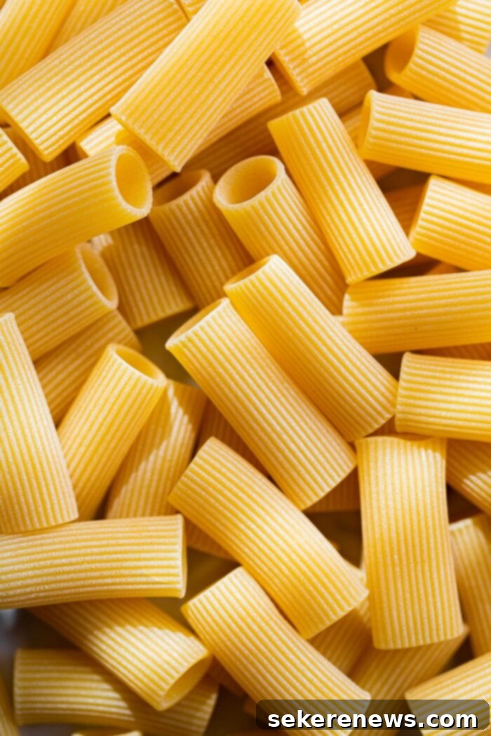 Classic Amatriciana Pasta 5 Dried Rigatoni Pasta