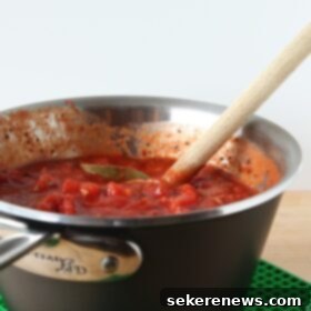 Slow-Simmered Tomato Bliss 5 Homemade Tomato Sauce
