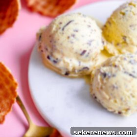 Olive Oil Kissed Stracciatella 7 Olive Oil Stracciatella Ice Cream