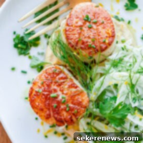 Golden Scallops, Creamy Hummus, Crisp Fennel Salad 9 Seared Bay Scallops with Hummus and Fennel Salad