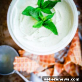 Refreshing Vanilla Mint Dream 7 Fresh Vanilla Mint Ice Cream. This ice cream is flavored with fresh mint leaves only and is so refreshing!