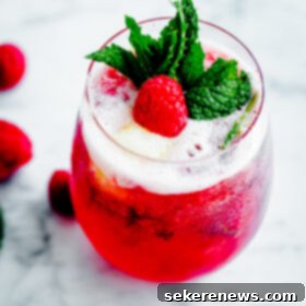 Vibrant Raspberry Mint Prosecco Sorbet Floats 6 Sorbet Prosecco Floats with Muddled Raspberries and Fresh Mint
