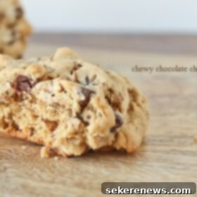 Perfectly Chewy Chocolate Chip Delights 4 Chewy Chocolate Chip Cookies