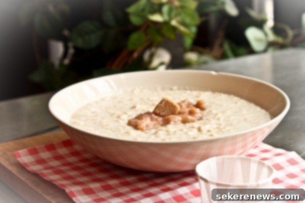 Wandering Free 5 A close-up of a delicious bowl of Scottish oatmeal with rhubarb compote