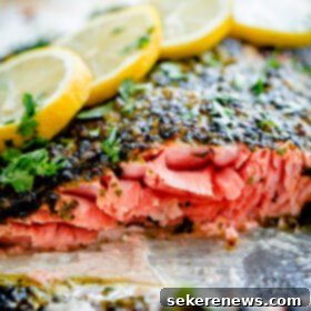Quick Broiled Salmon with Zesty Chermoula Herb Crust 2 Weeknight Broiled Salmon with Chermoula Herb Crust. Easy, delicious dinner that can be prepared in prepped and cooked in less than 20 minutes!