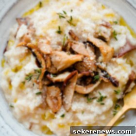 Effortless One Pot Mushroom Risotto 7 Easy No Stir Mushroom Risotto - overhead shot of serving