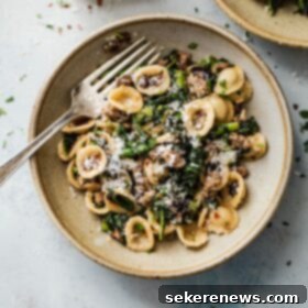 Robust Italian Sausage and Rapini Pasta 4 Broccoli Rabe and Sausage Pasta