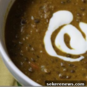 Golden Lentil Elixir 4 Curried Lentil Soup
