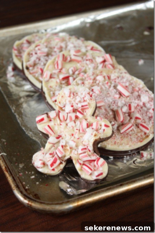 Festive Homemade Peppermint Bark 2 Homemade Peppermint Bark - A festive two-layer chocolate treat with crushed candy canes.