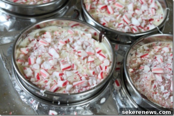 Festive Homemade Peppermint Bark 5 White chocolate spread over dark chocolate and sprinkled with crushed candy canes, ready for chilling.