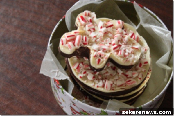 Festive Homemade Peppermint Bark 6 Broken shards of homemade peppermint bark, ready to serve or gift.