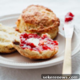 Classic Irish Soda Scones 2 Fluffy Irish Soda Bread Scones: Lightly sweetened with plump golden raisins, perfect with butter and jam.