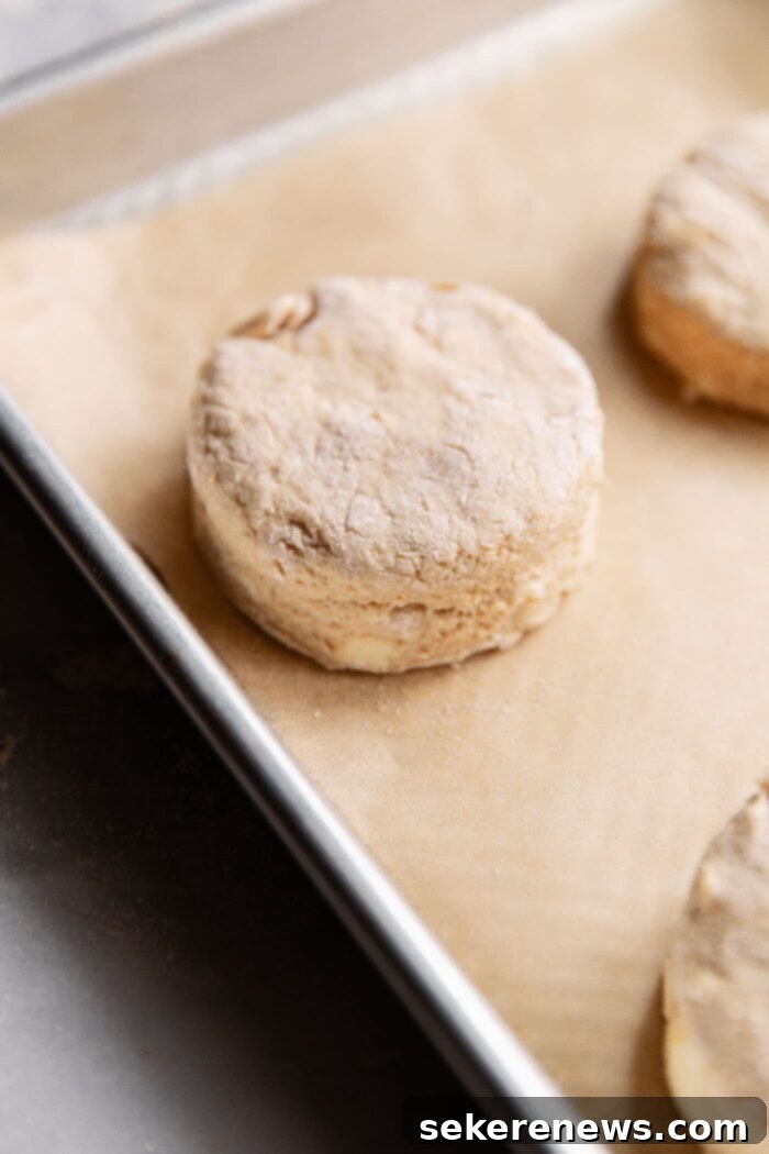 Effortless Whole Wheat Biscuits 11 Raw cut-out biscuits on a parchment-lined baking sheet
