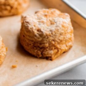 Effortless Whole Wheat Biscuits 13 Easy Whole Wheat Biscuits