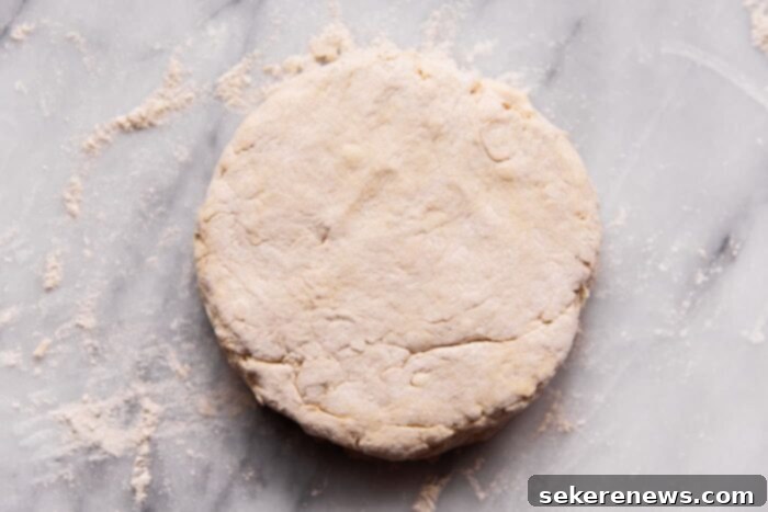 Effortless Whole Wheat Biscuits 5 Whole Wheat Biscuit Dough being prepared on a floured surface