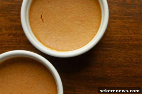 Simple Pumpkin Pie Custard