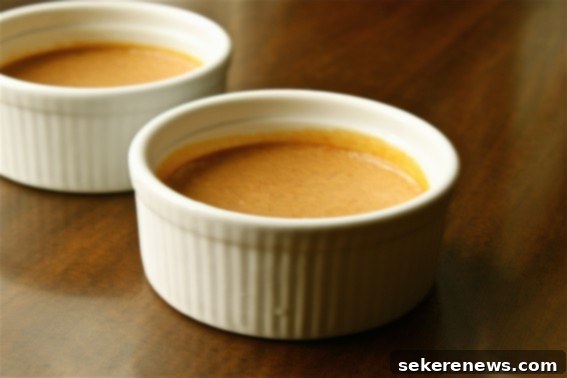 Simple Pumpkin Pie Custard