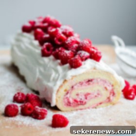 Raspberry Roll Cake 2 Raspberry Roll Cake. Vanilla sponge cake filled with fresh raspberries and whipped cream!