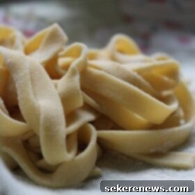 From Scratch Chickpea Flour Pasta 10 homemade chickpea pasta