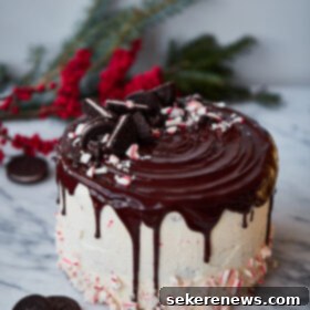 Sparkling Candy Cane Crunch Cake 4 Candy Cane Crunch Cake. Peppermint chocolate layer cake filled with candy cane Swiss meringue buttercream and topped with peppermint ganache. Perfect celebration cake for the holidays!